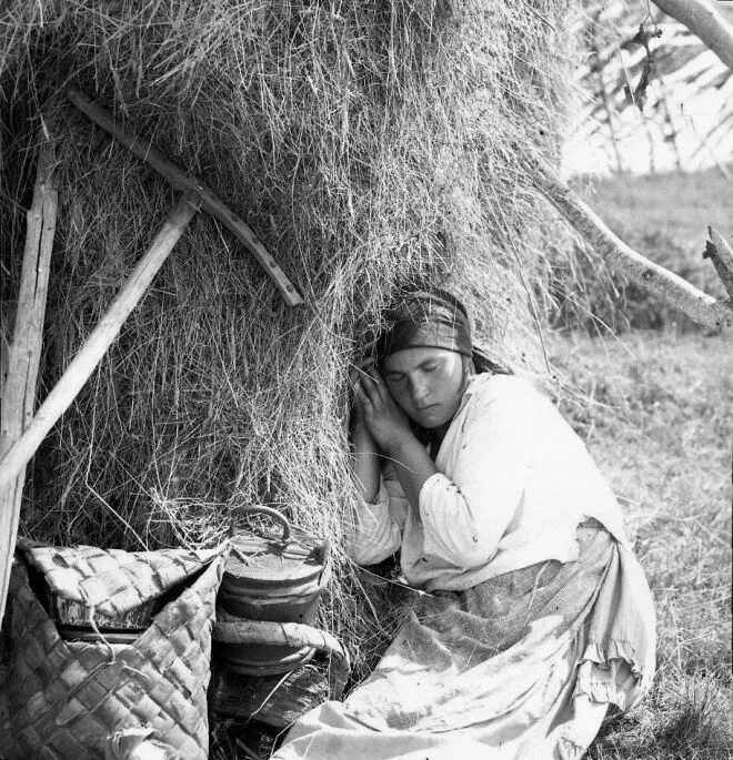 Взято из открытых источников интернета Яндекс.