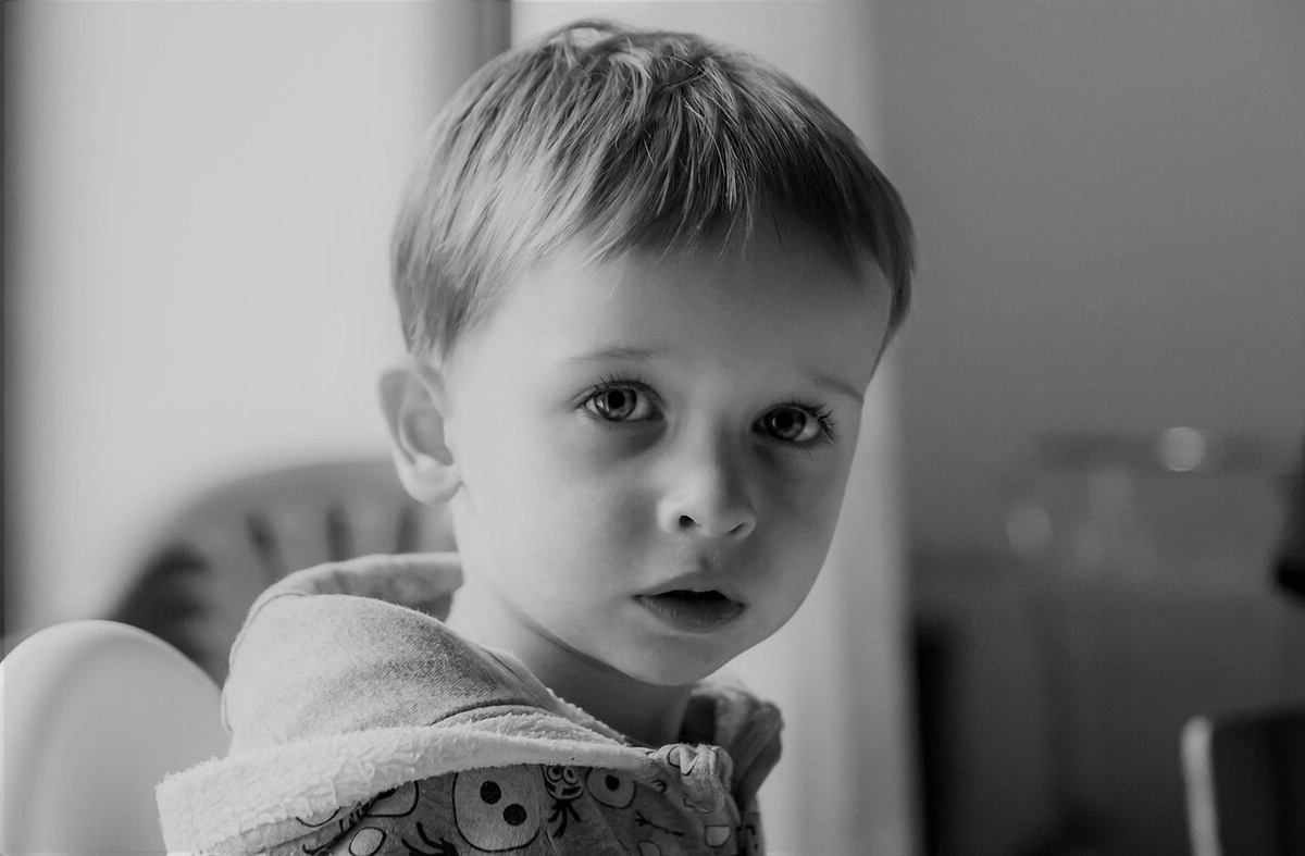 Фото из открытого источника Яндекс 