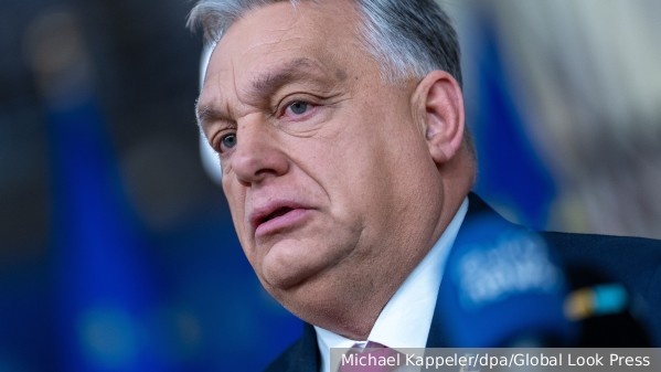     Фото: Michael Kappeler/dpa/Global Look Press   
 Текст: Антон Антонов