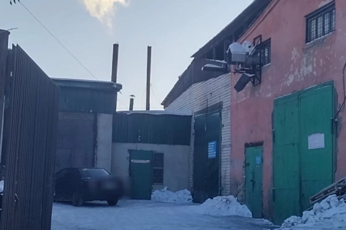    Эконадзор обследовал два объекта из-за загрязнения воздуха в Чите