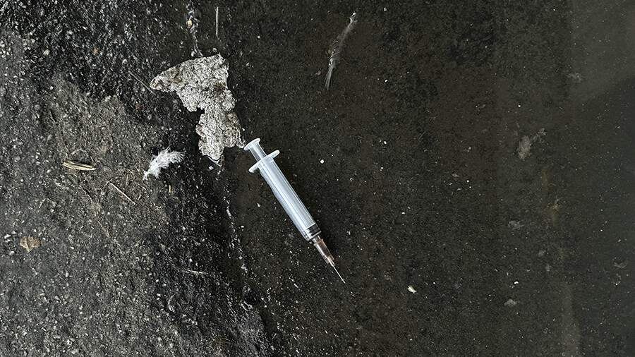    Фото: Global Look Press/IMAGO