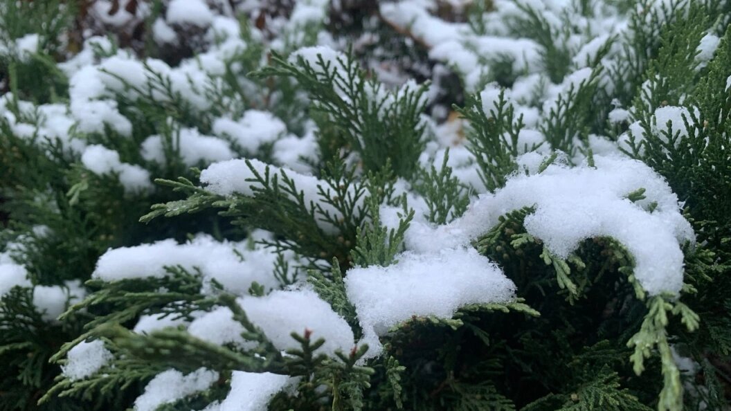    Фото: Царьград.