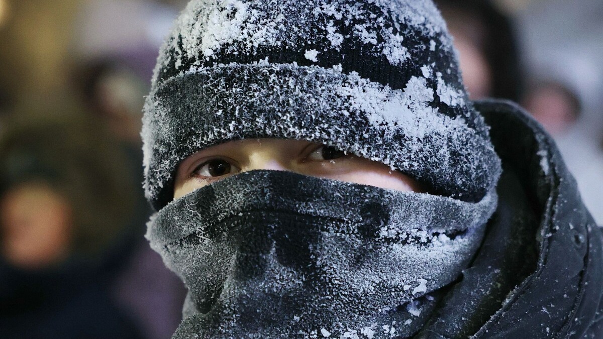    Фото: Андрей Ткачев / «Ямал-Медиа»