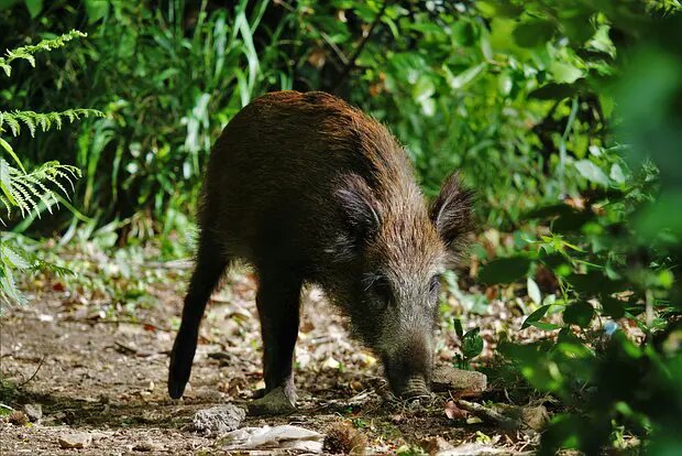    Фото: lenta.ru Олеся Шмелева