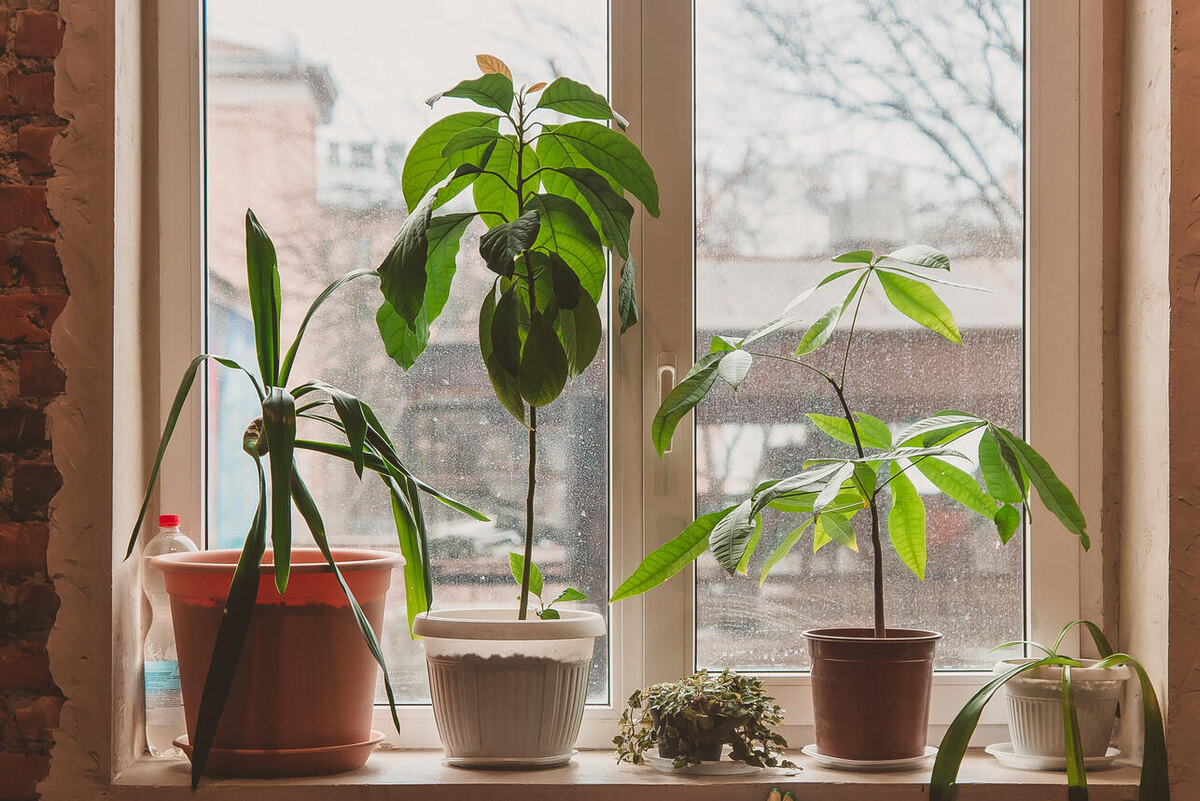     123RF/legion-media.ru