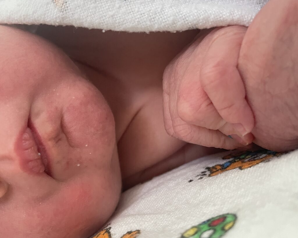    Фото: В курсе.ру Ульяна Бажанова