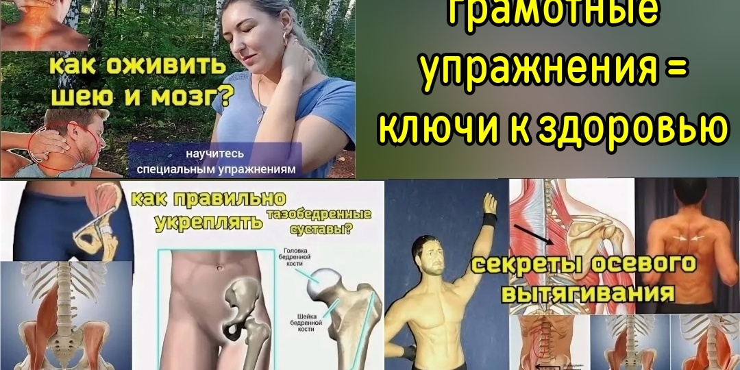 Осевые вытягивания - основа здоровья позвоночника, суставов. Упражнения для шеи, поясницы, тбс, глаз