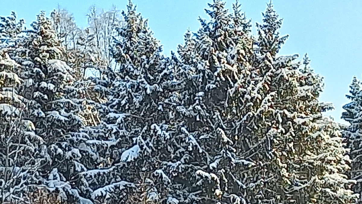 Фото автора январь 2026