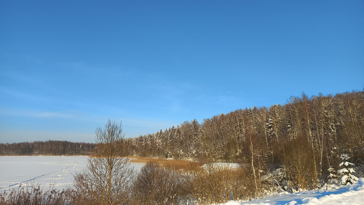 Фото автора январь 2026 озеро Рязановское