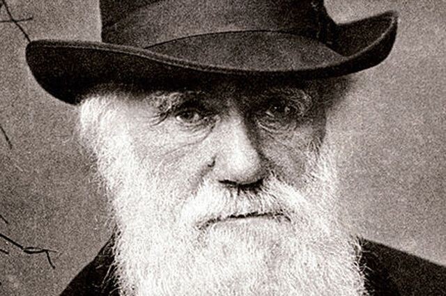 Чарлз Роберт Дарвин - английский натуралист и путешественник, один из первых обосновавший идею о том, что все виды живых организмов эволюционируют со временем и происходят от общих предков.