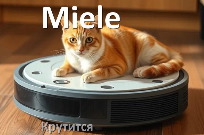 
Почему робот-пылесос Miele крутится на одном месте и ездит по кругу