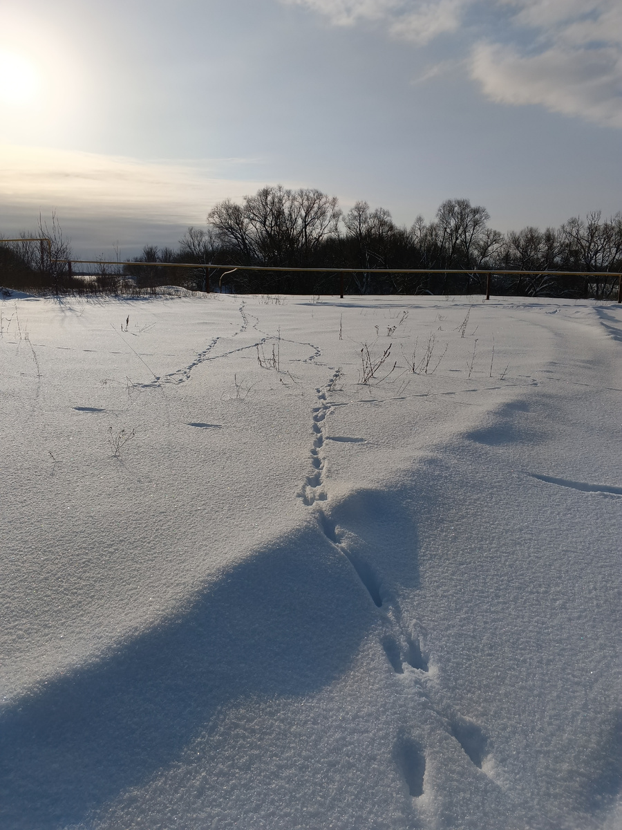 Глухое преглухое село