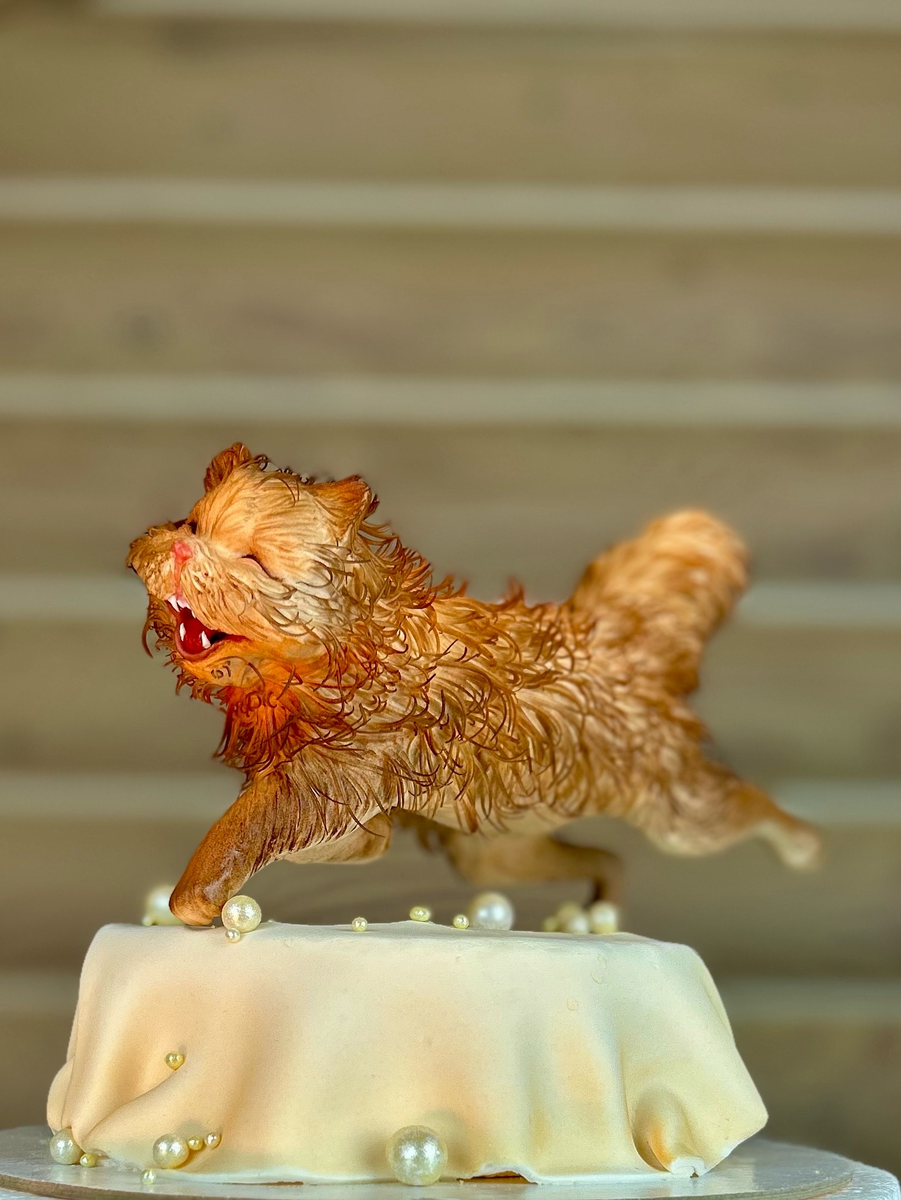 Фото автора 