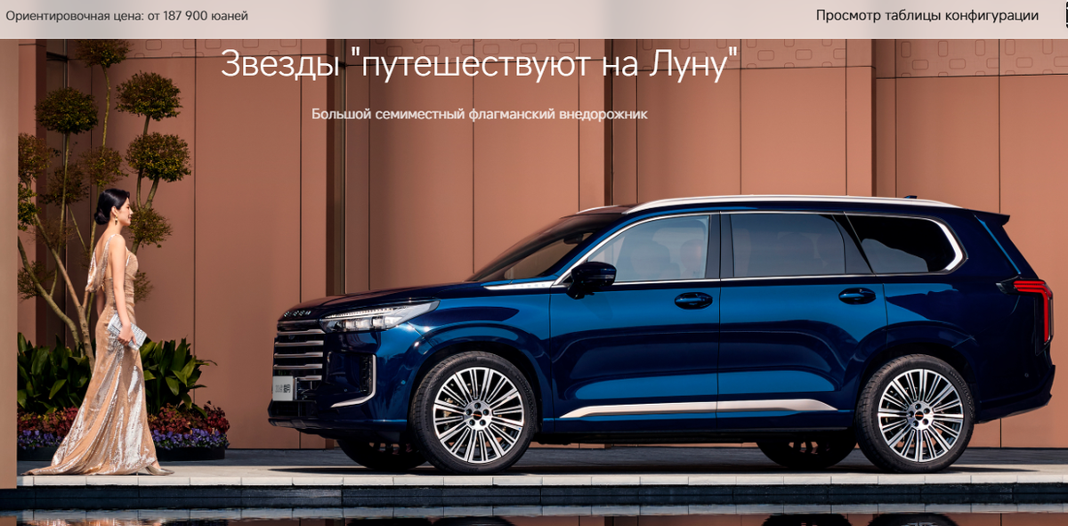 Скриншот с китайского сайта с переводом.