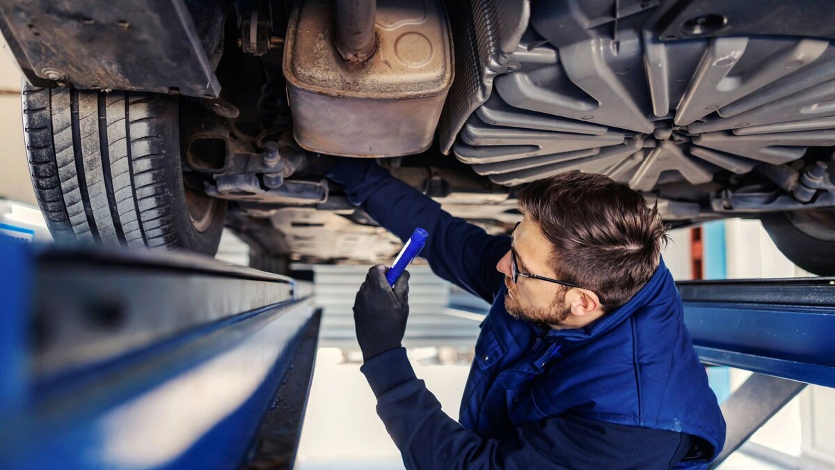    Фото: Dusan Petkovic / Shutterstock / Fotodom