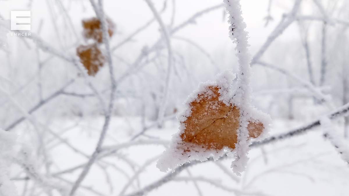     На выходных в Красноярске отступят морозы