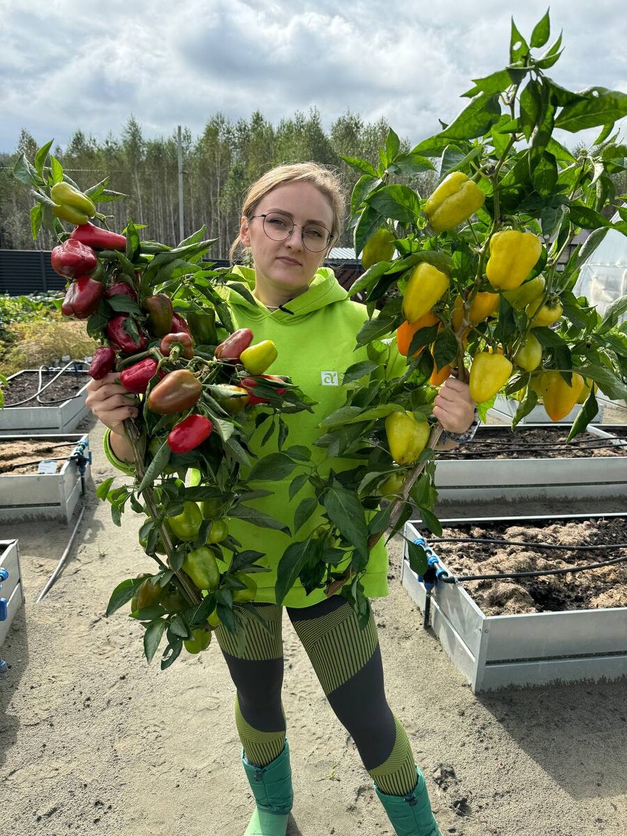 Алтынай справа, желтый, а слева красный - это Татарин, про него чуть ниже