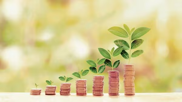 Источник: https://www.livemint.com/money/personal-finance/investing-right-the-difference-your-approach-can-make-to-your-portfolio-11700673020417.html