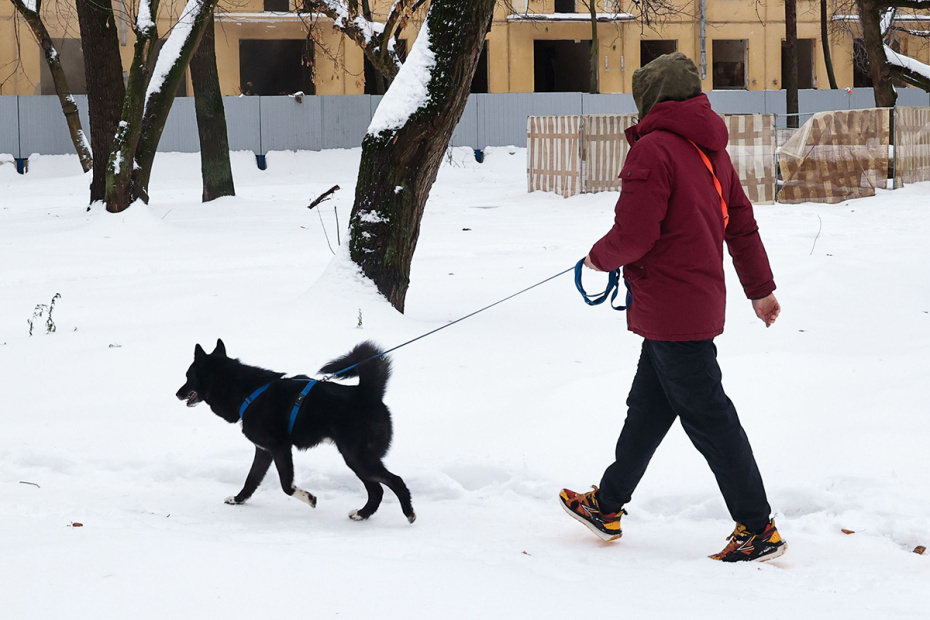    Сергей Петров/NEWS.ru