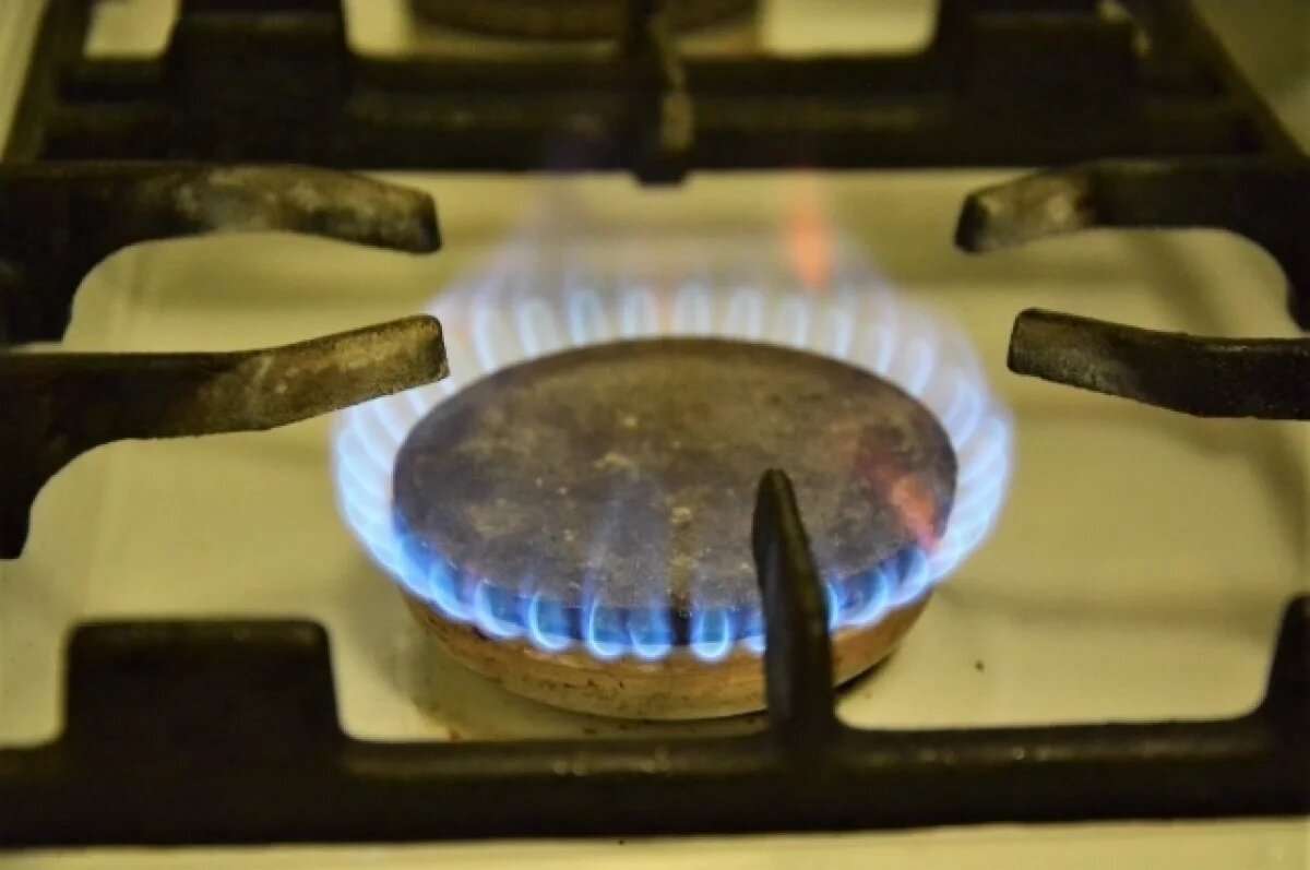    Озвучены итоги газификации Тульской области за 2025 год