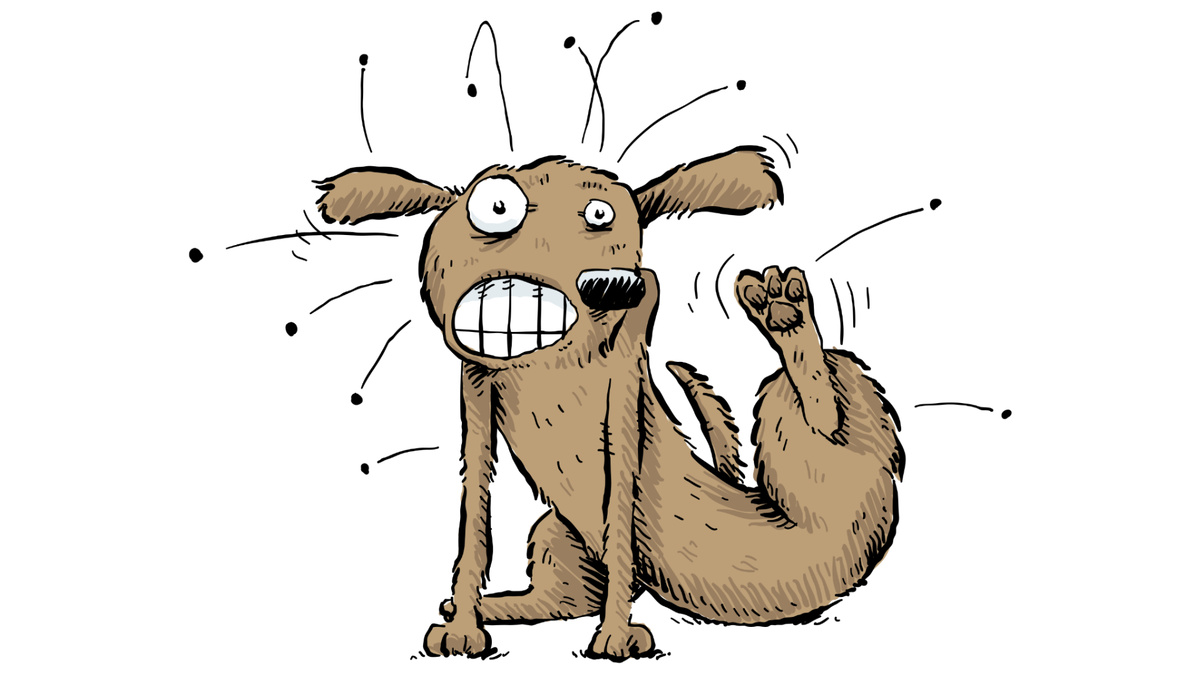 Пусть пообщаются, если есть настроение – в худшем случае вред ограничится парой свежих блох. Иллюстрация  Brett Lamb/Dreamstime