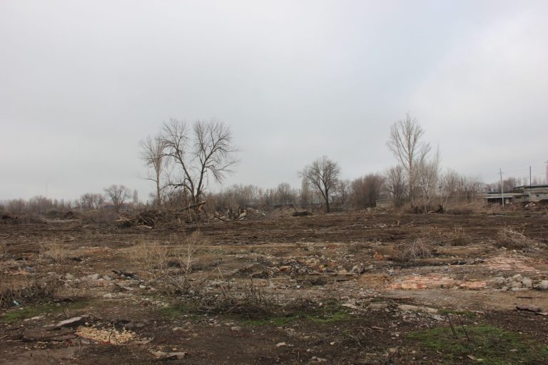 В Балакове бесплатные участки, предназначенные для участников СВО, решили пустить с молотка