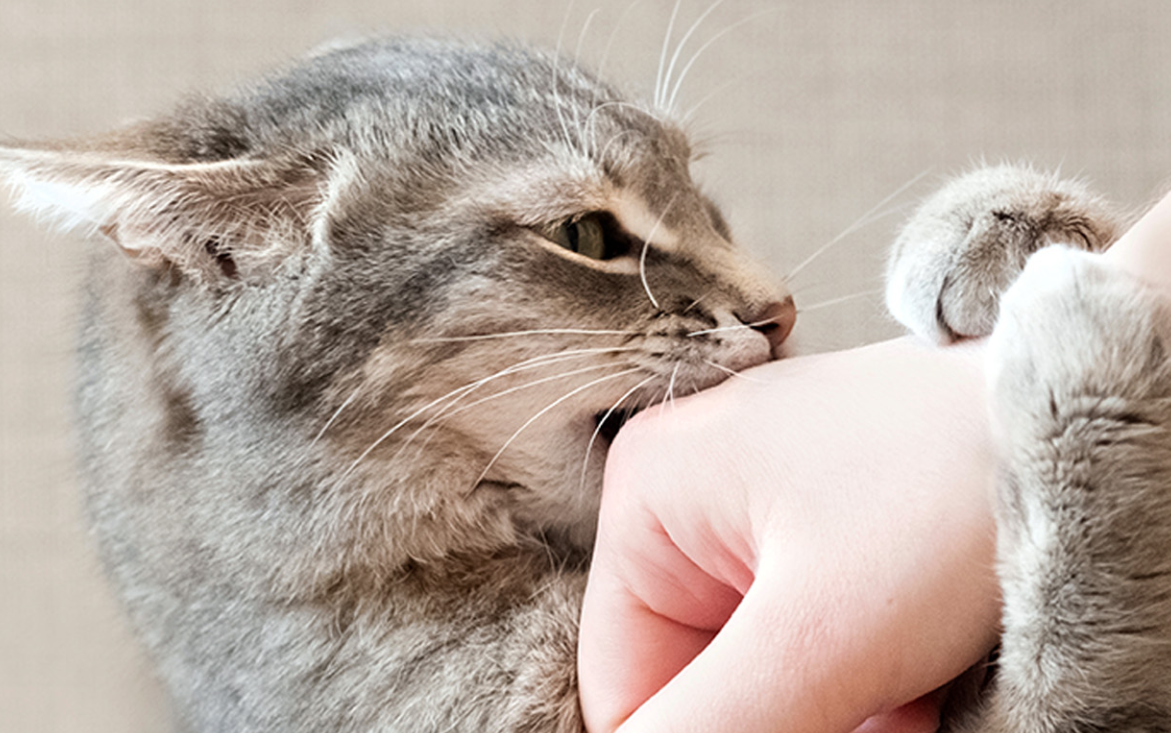 Фото носит иллюстративный характер: открытые источники