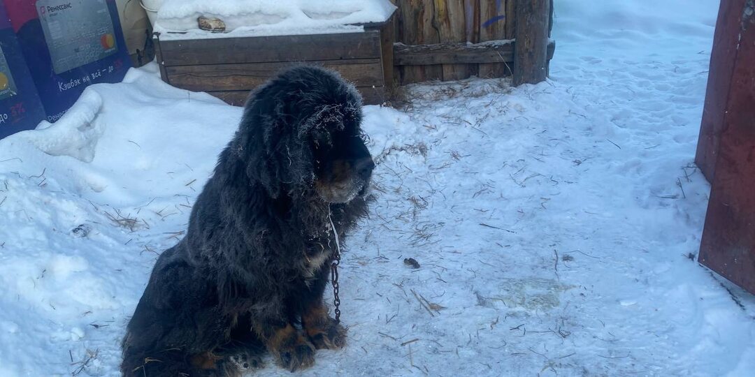 День оплаты труда. Собрано меньше половины.