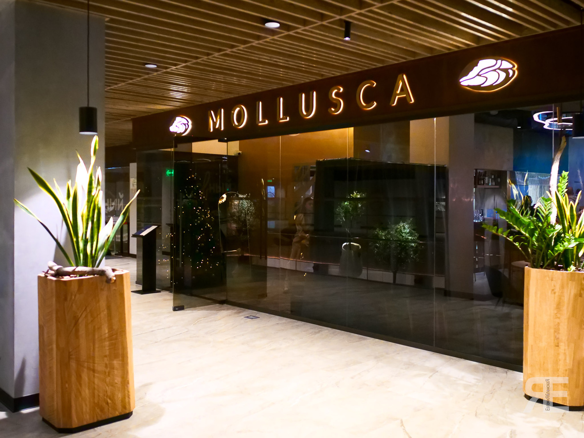 Интерьер ресторана Mollusca