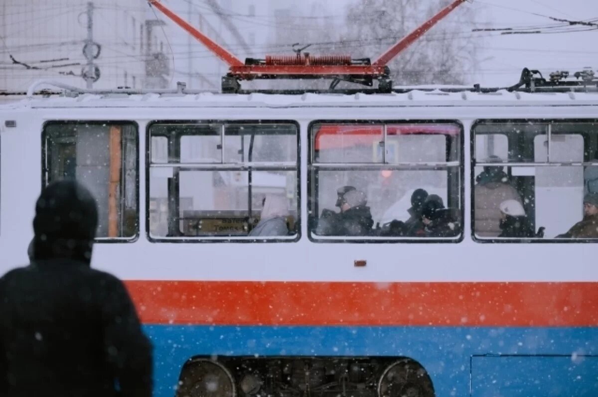    Студенты Томска смогут бесплатно ездить на мунтранспорте в Татьянин день