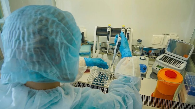   Анализ крови / Фото: сайт “Колыма Плюс”