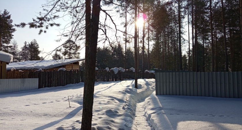    Фото из архива нашей редакции