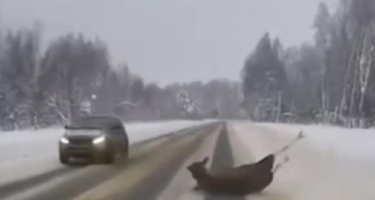    Ярославль очевидец с сайта www.yarnews.net