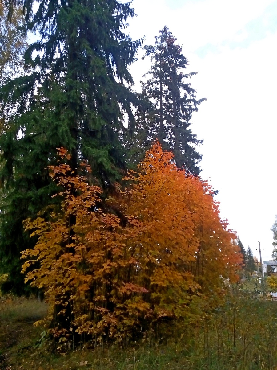 Фото Алексея Колобка