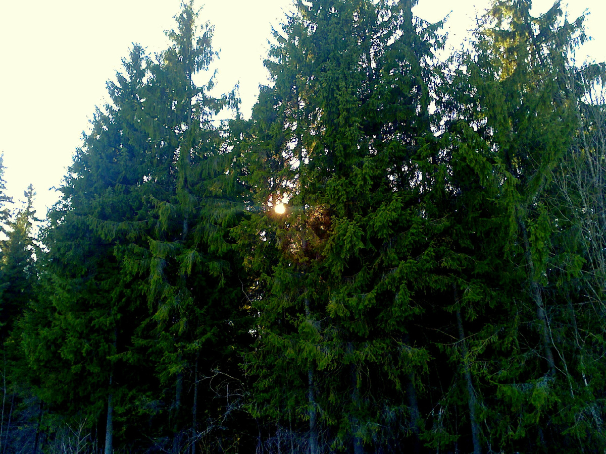 Фото Алексея Колобка