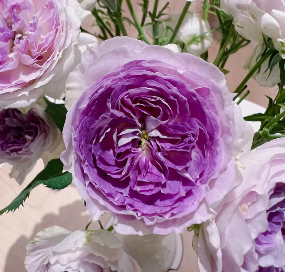 Блю Мун стоун (фото из открытых источников)