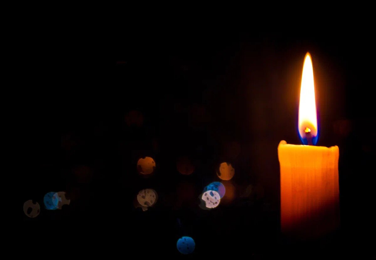    Фото: Shutterstock