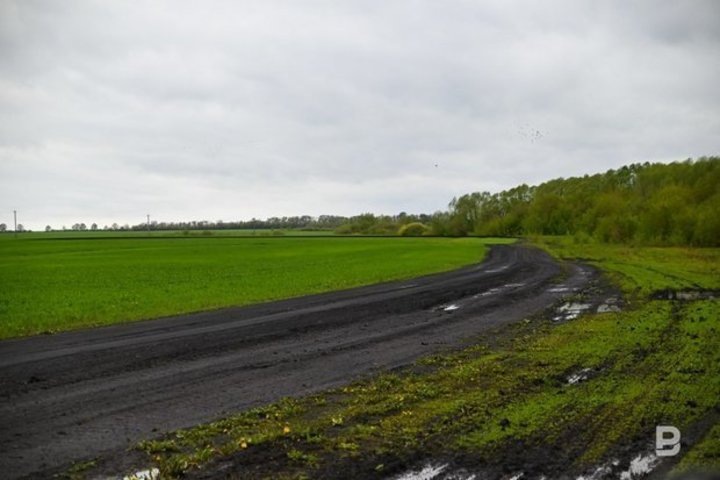    По версии предпринимателя, коррупционные отношения с главным в районе по земле начались еще в 2024 году. Максим Платонов / realnoevremya.ru