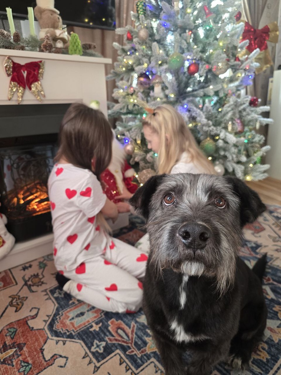 Гуляка наш)