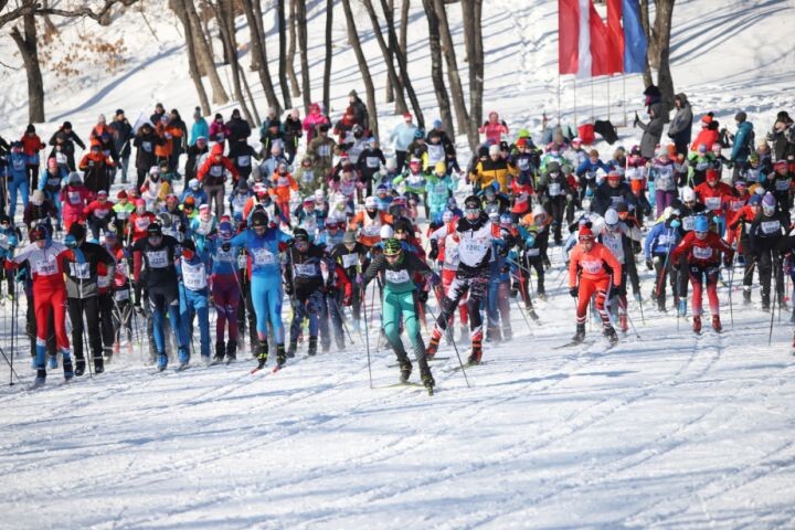   Фото:пресс-служба министерства спорта Хабаровского края