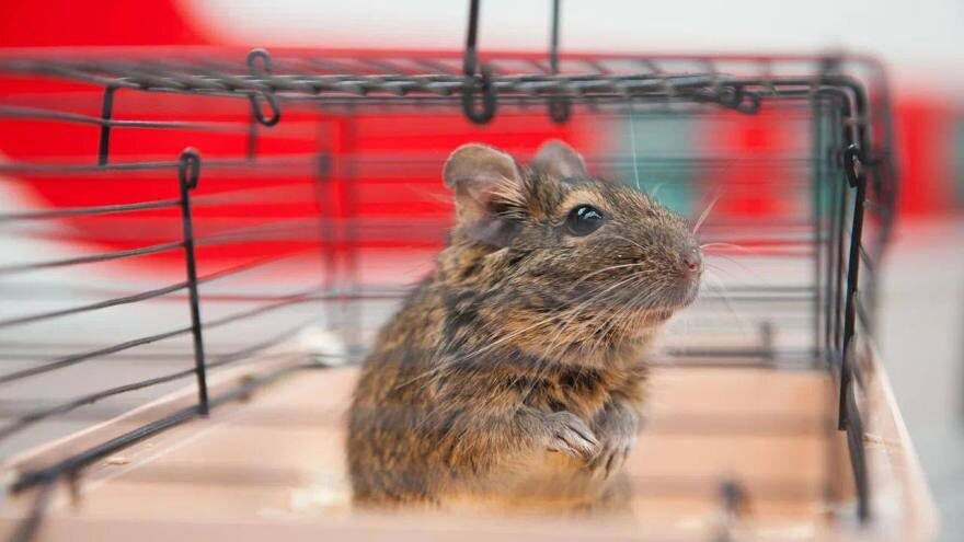 Фото: пресс-служба СвЖД