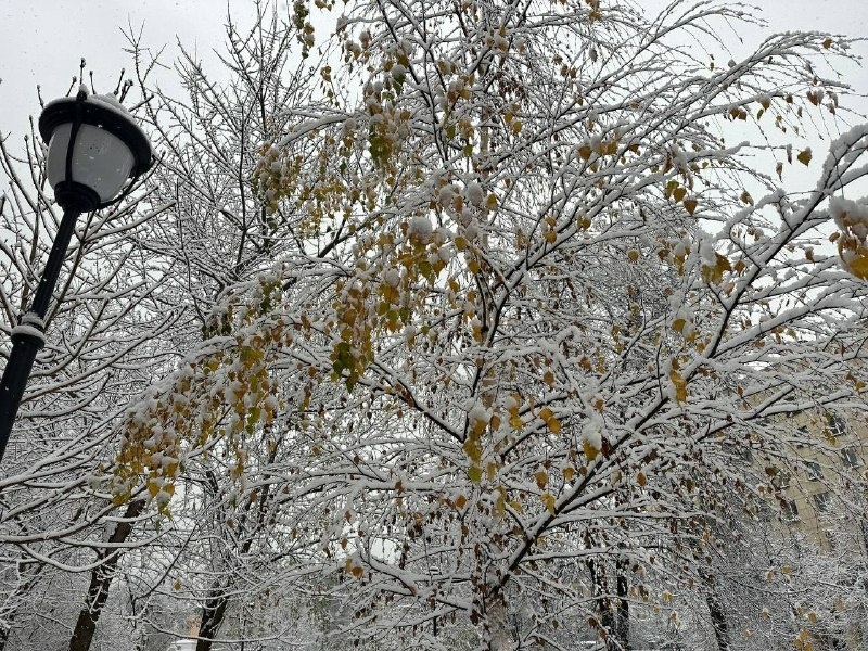     Фото: Бриф 24