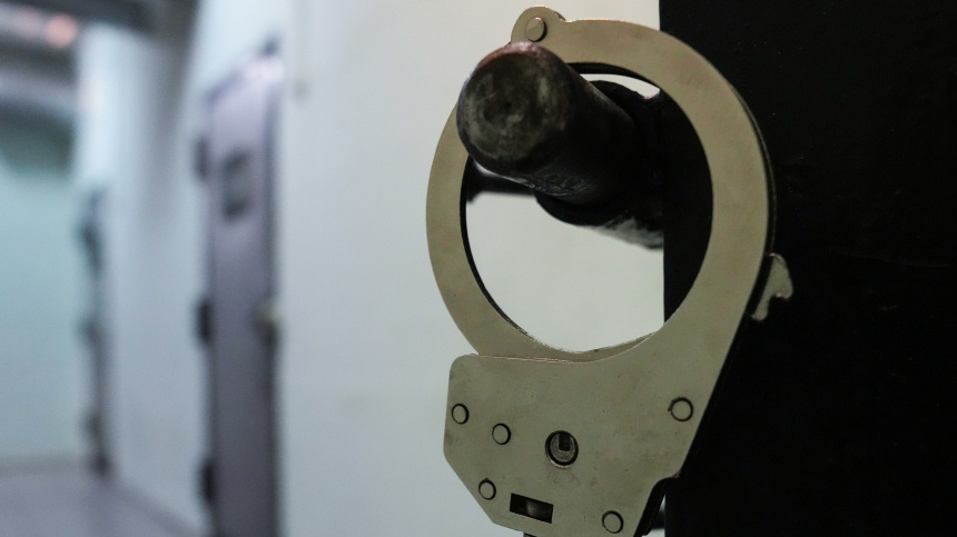    Фото: ИЗВЕСТИЯ/Дмитрий Коротаев; 5-tv.ru