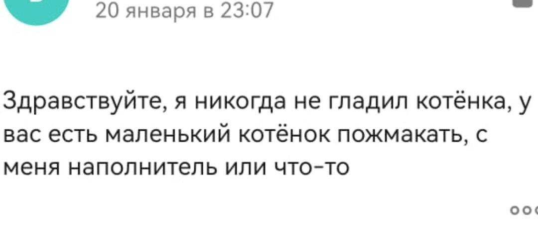 Думаете, котокафе это очень просто