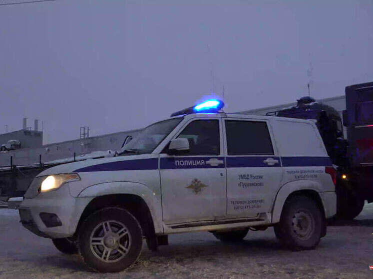     У 37 человек выявили нарушения миграционного законодательства. Фото: скриншот с видео ГУ МВД России по Петербургу и Ленобласти