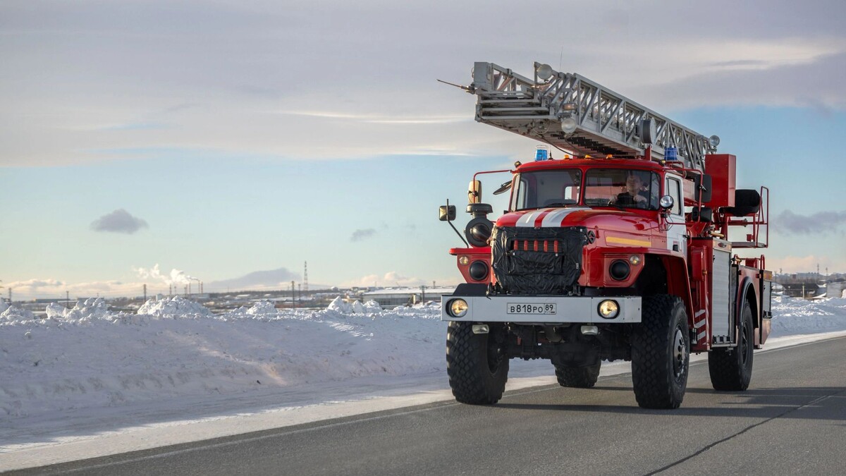    Фото: Юлия Чудинова/«Ямал-Медиа»