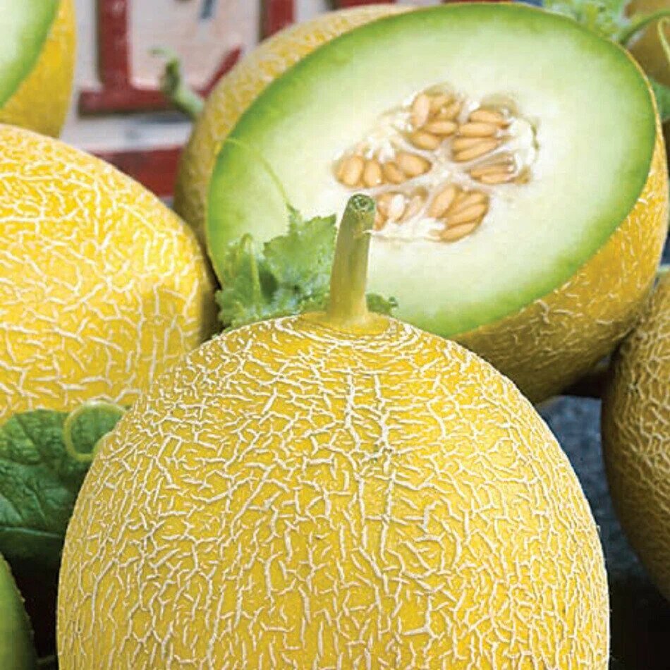 Злато скифов