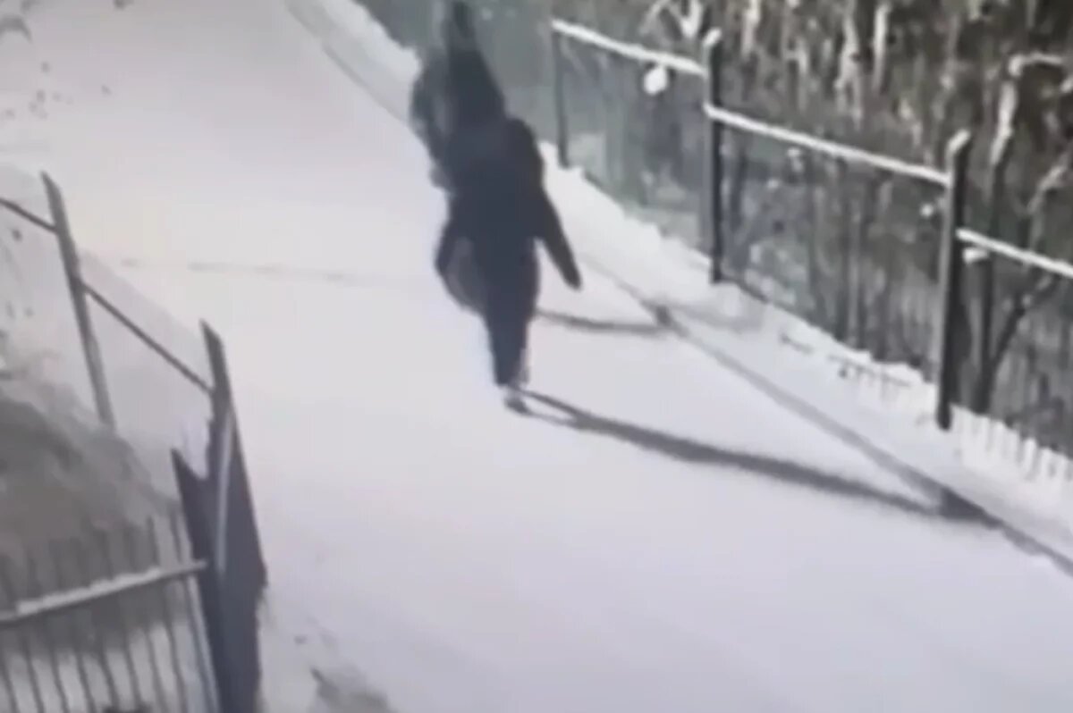    Обнародована переписка жителя Красноярска с возможными похитителями сына