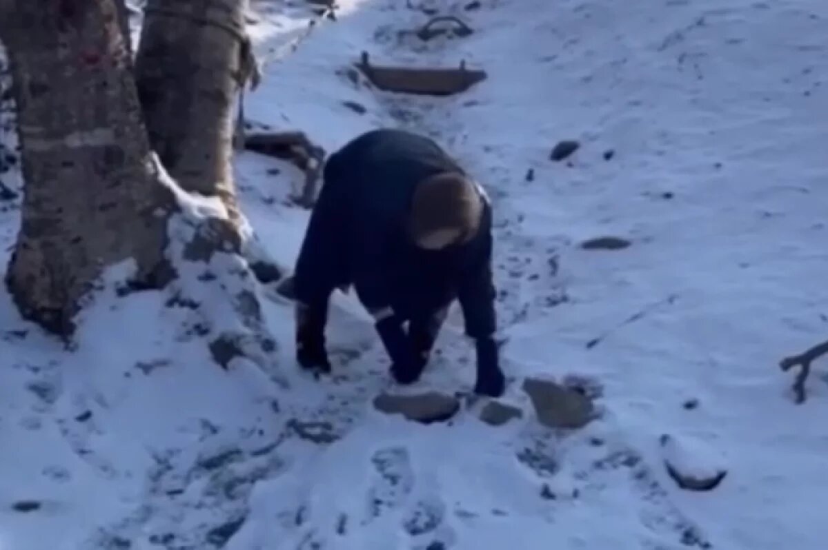    Дома не сидит.