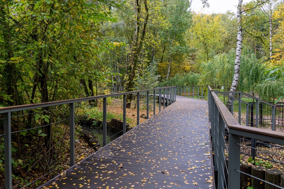    В Новосибирске планируют построить новый парк. Михаил ФРОЛОВ